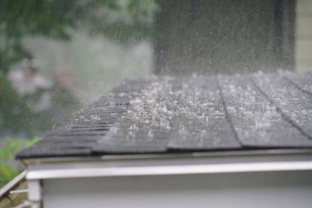 Best Roof Insulation Installation  in Waukee, IA