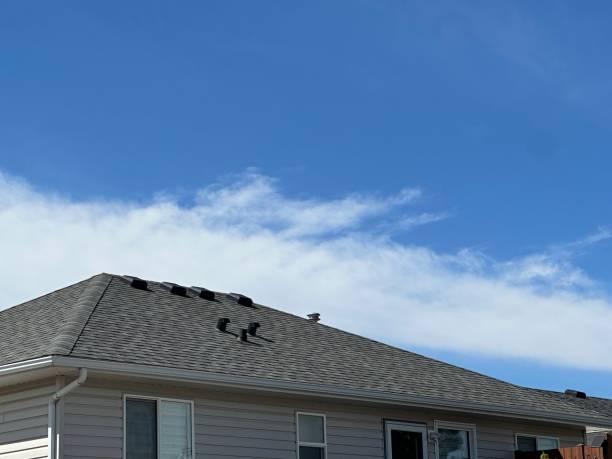Professional Roofing Service in Waukee, IA